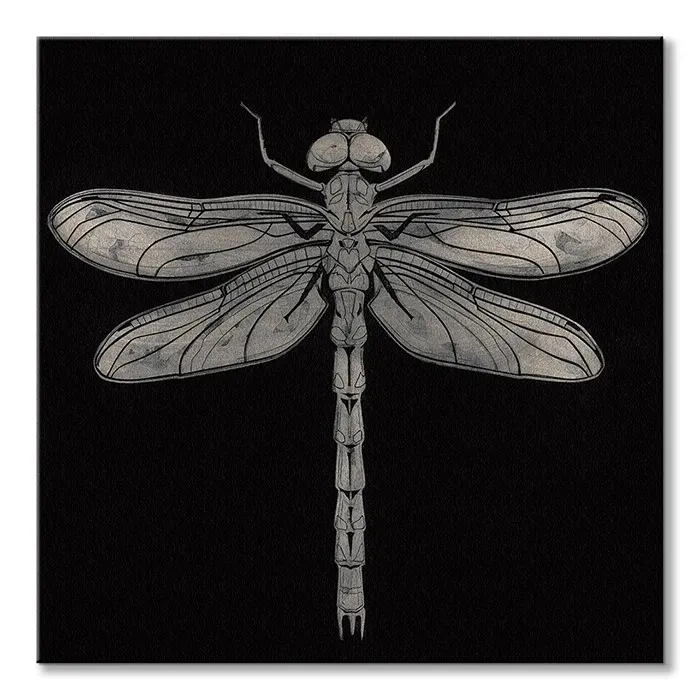 dragonfly-obraz-na-plotnie-60x60-cm