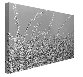 early-blossom-obraz-na-plotnie-80x60-cm