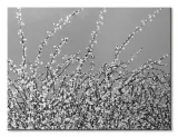 early-blossom-obraz-na-plotnie-80x60-cm-stan-nowy