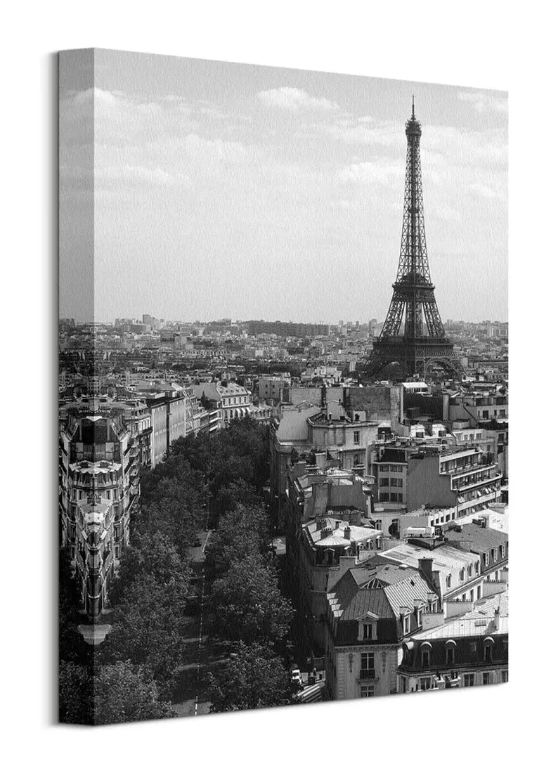 eiffel-tower-paris-obraz-na-plotnie-30x40-cm