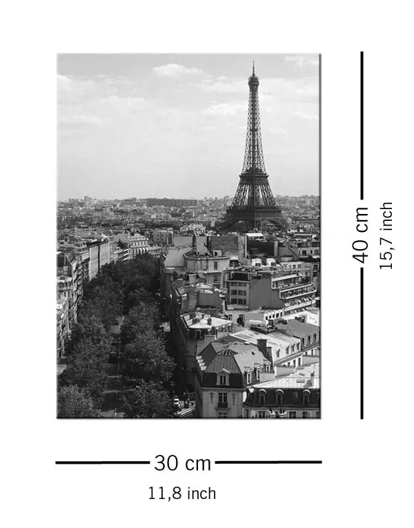 eiffel-tower-paris-obraz-na-plotnie-30x40-cm