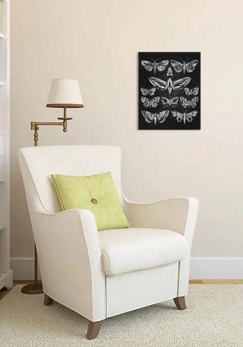 eleven-moths-obraz-na-plotnie-40x50-cm-stan-nowy