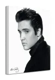 elvis-portrait-obraz-na-plotnie-40x50-cm