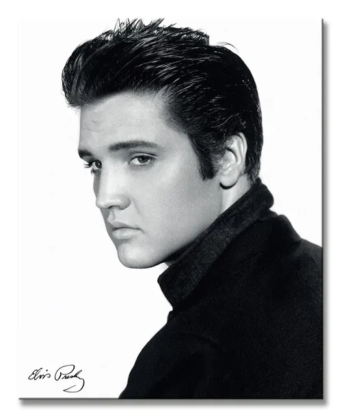 elvis-portrait-obraz-na-plotnie-40x50-cm-stan-nowy