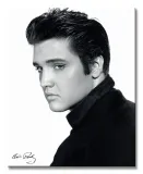 elvis-portrait-obraz-na-plotnie-40x50-cm-stan-nowy