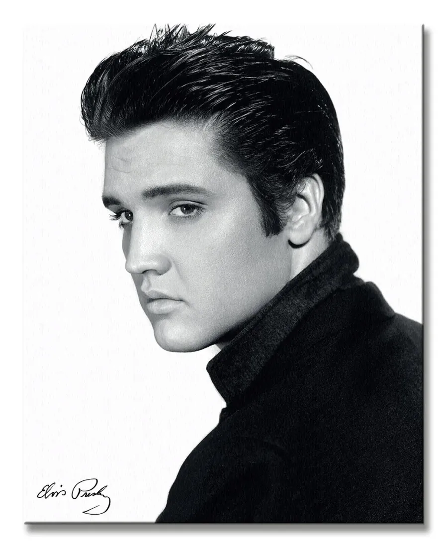 elvis-portrait-obraz-na-plotnie-40x50-cm
