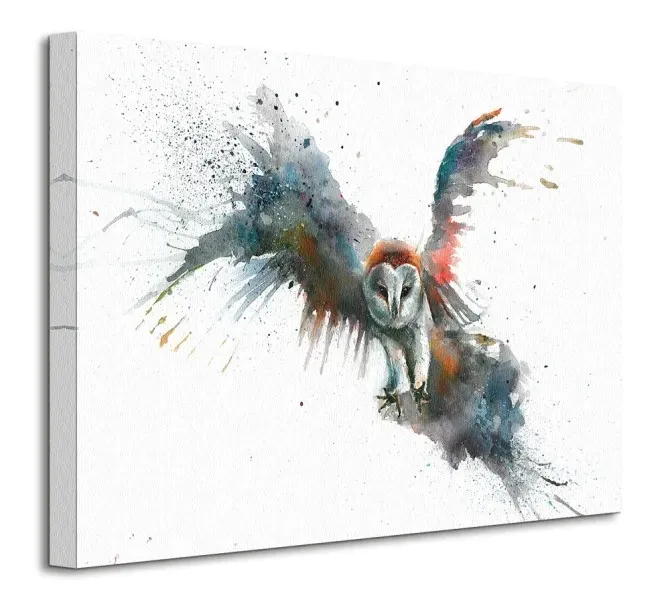 eric-in-flight-obraz-na-plotnie-40x30-cm