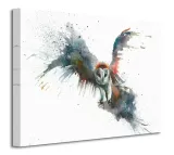 eric-in-flight-obraz-na-plotnie-40x30-cm