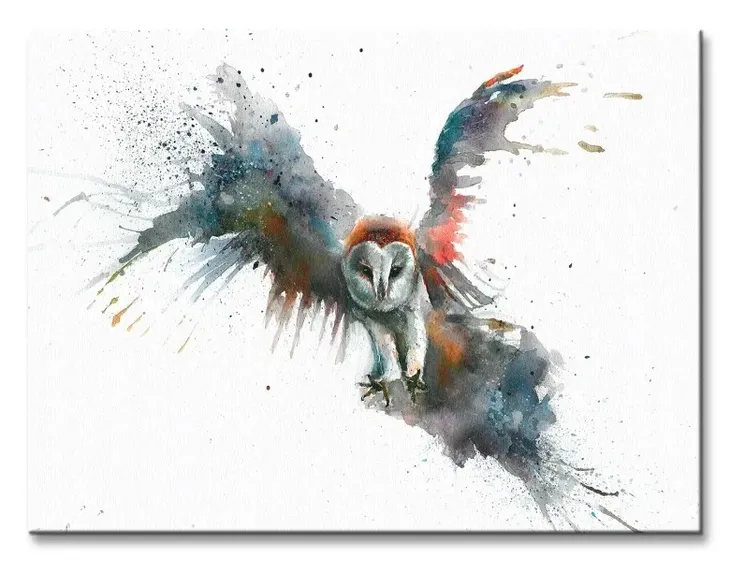 eric-in-flight-obraz-na-plotnie-40x30-cm-stan-nowy