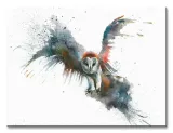 eric-in-flight-obraz-na-plotnie-40x30-cm-stan-nowy