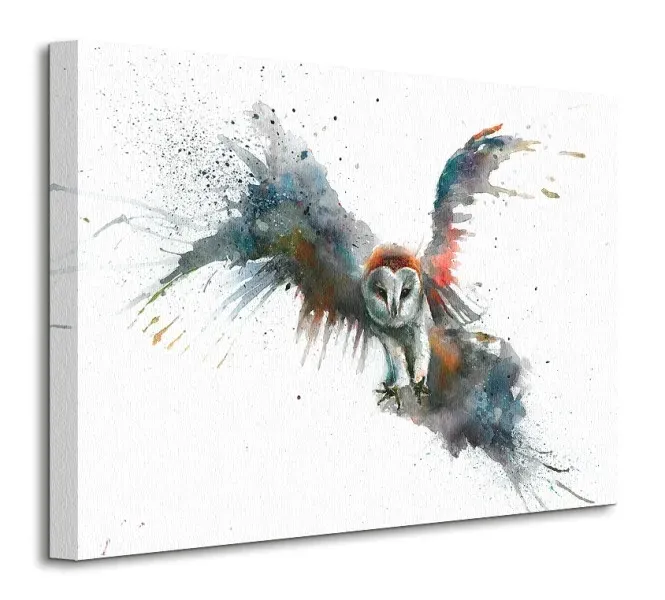 eric-in-flight-sowa-obraz-na-plotnie-50x40-cm