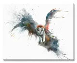 eric-in-flight-sowa-obraz-na-plotnie-50x40-cm-stan-nowy