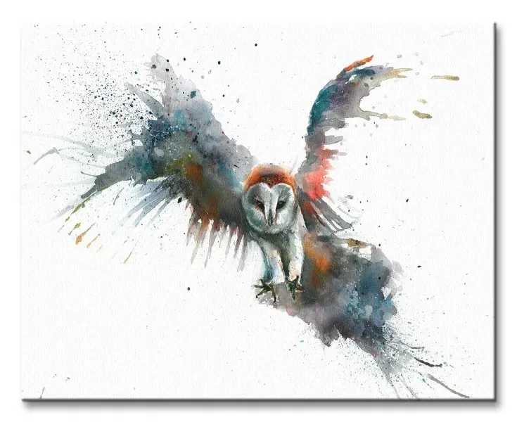 eric-in-flight-sowa-obraz-na-plotnie-50x40-cm