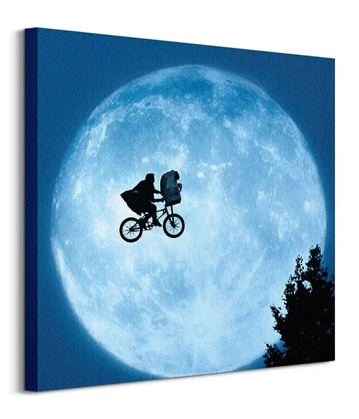 et-moon-obraz-na-plotnie-60x60-cm