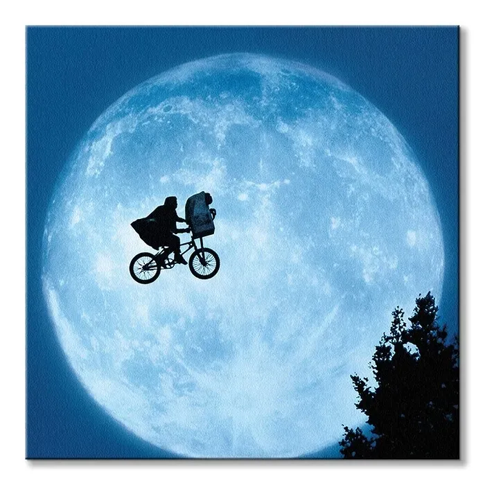 et-moon-obraz-na-plotnie-60x60-cm