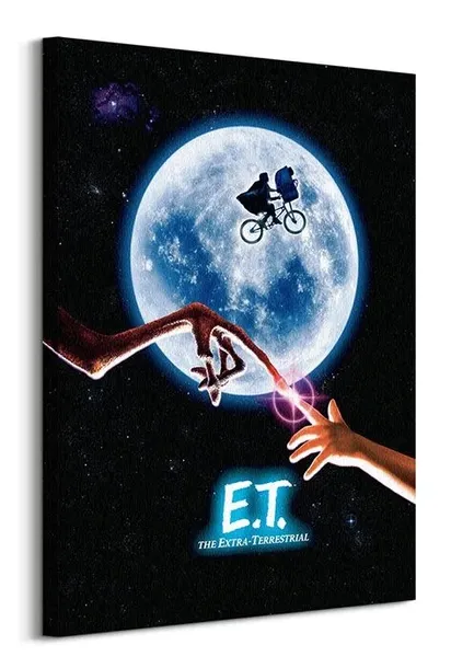 et-one-sheet-obraz-na-plotnie-60x80-cm