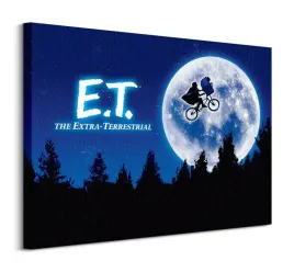 et-quad-obraz-na-plotnie-80x60-cm
