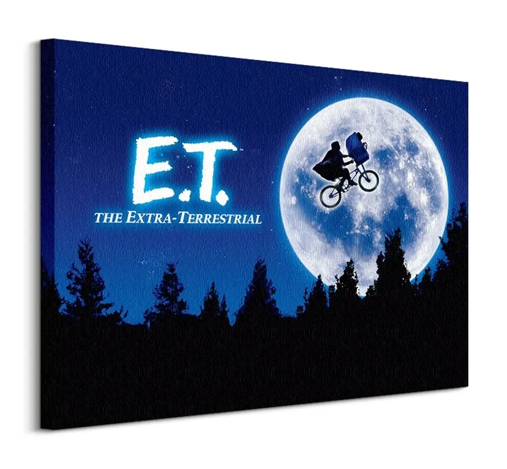 et-quad-obraz-na-plotnie-80x60-cm