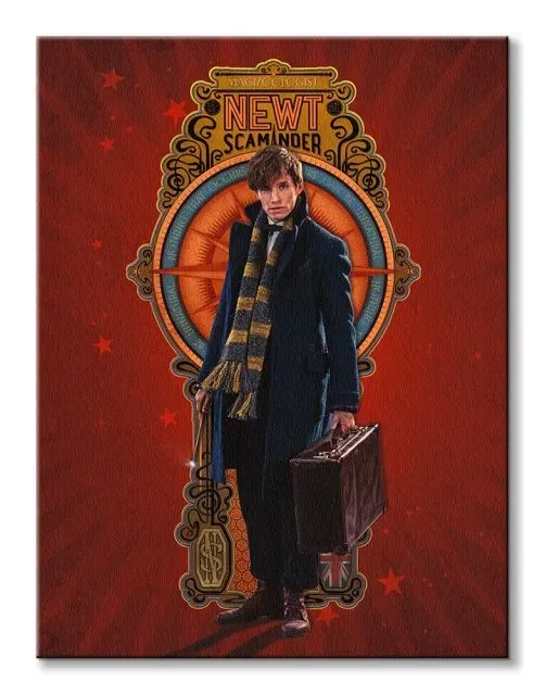 fantastic-beasts-newt-obraz-na-plotnie-60x80-cm