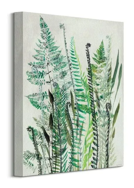 ferns-i-obraz-na-plotnie-30x40-cm