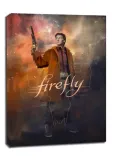 firefly-obraz-na-plotnie-40x60-cm