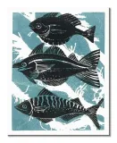 fish-obraz-na-plotnie-40x50-cm-stan-nowy