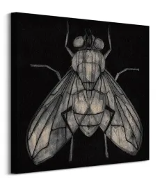 fly-obraz-na-plotnie-60x60-cm