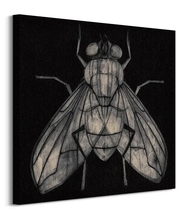 fly-obraz-na-plotnie-60x60-cm