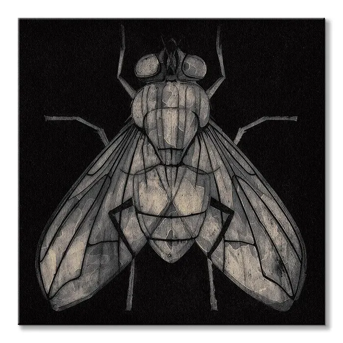fly-obraz-na-plotnie-60x60-cm