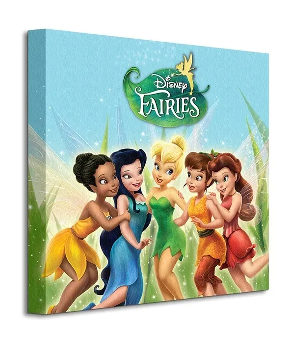 fairies-obraz-na-plotnie-40x40-cm-stan-nowy