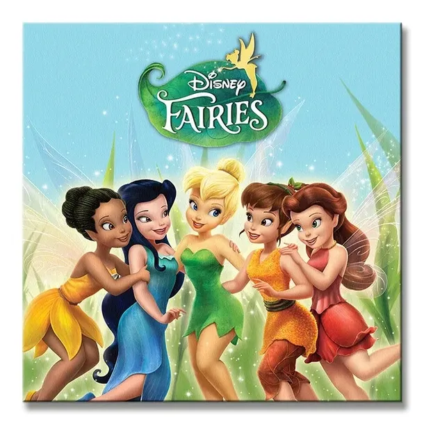 fairies-obraz-na-plotnie-40x40-cm-stan-nowy