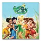fairies-obraz-na-plotnie-40x40-cm-stan-nowy