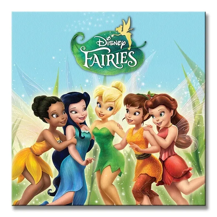 fairies-obraz-na-plotnie-40x40-cm