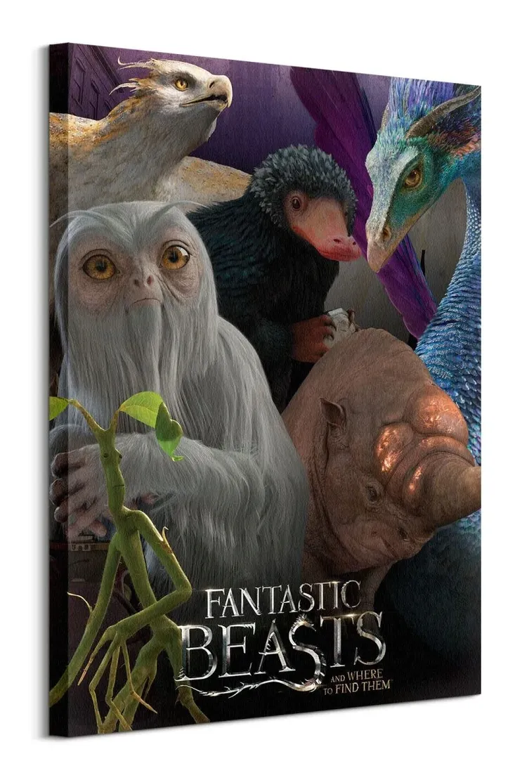 fantastic-beasts-escaped-beasts-obraz-na-plotnie-60x80-cm