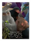 fantastic-beasts-escaped-beasts-obraz-na-plotnie-60x80-cm-stan-nowy