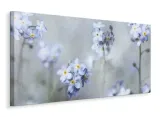 forget-me-nots-obraz-na-plotnie-100x50-cm