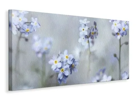 forget-me-nots-obraz-na-plotnie-100x50-cm
