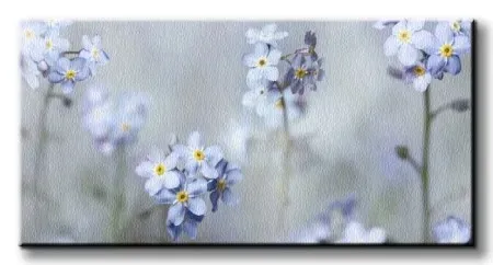 forget-me-nots-obraz-na-plotnie-100x50-cm