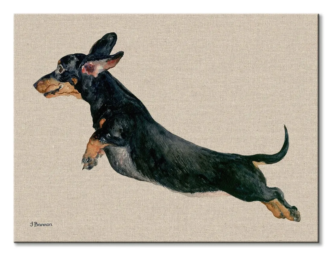freddy-obraz-na-plotnie-40x30-cm