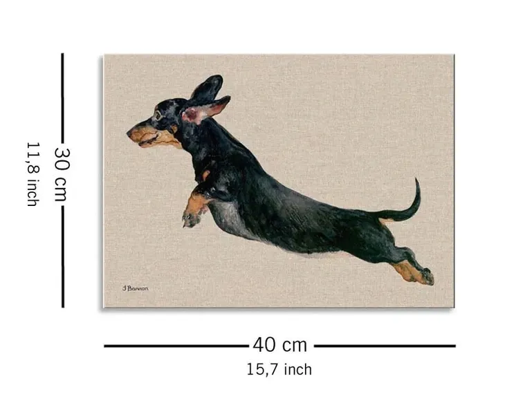 freddy-obraz-na-plotnie-40x30-cm-stan-nowy