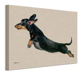 freddy-obraz-na-plotnie-50x40-cm
