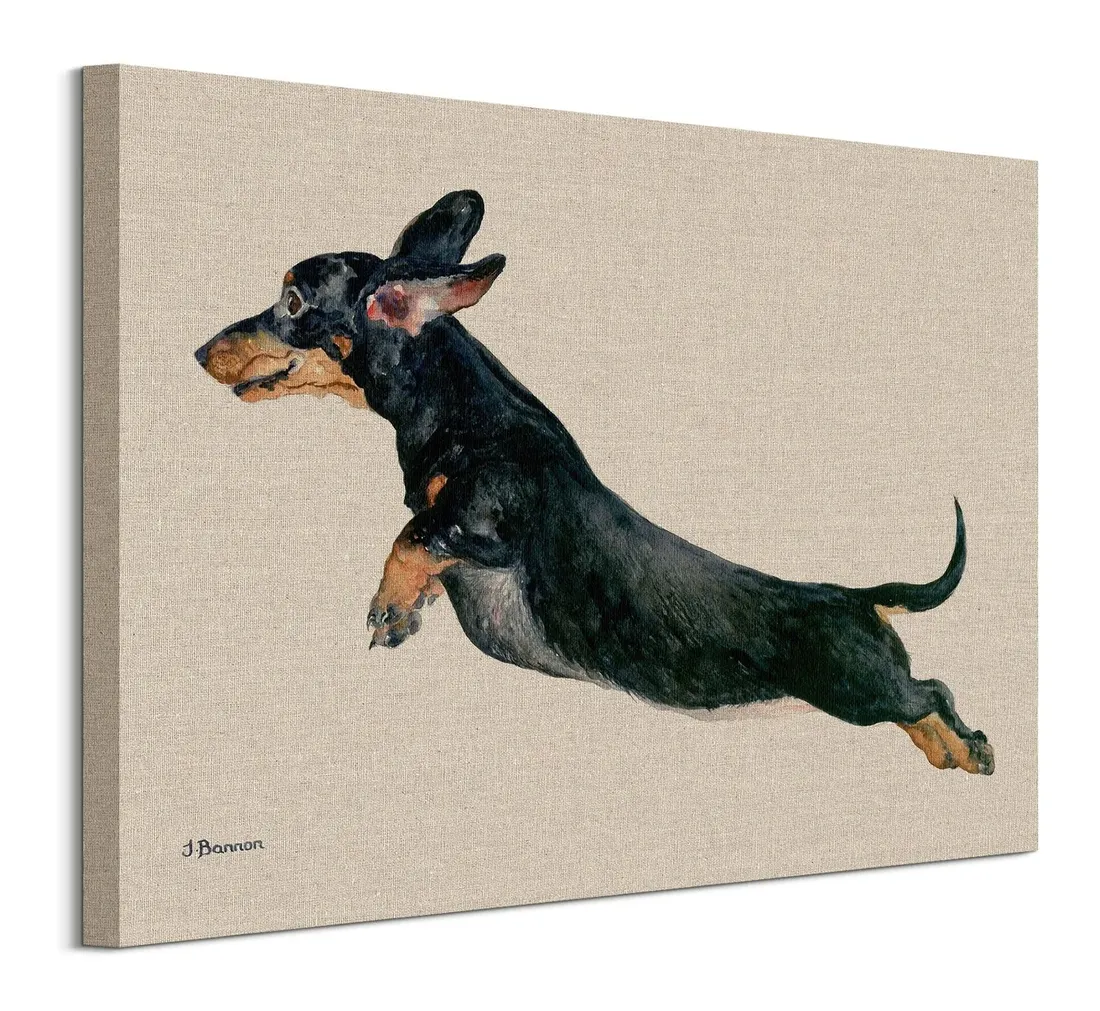 freddy-obraz-na-plotnie-50x40-cm-stan-nowy