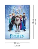 frozen-cast-obraz-na-plotnie-30x40-cm-stan-nowy