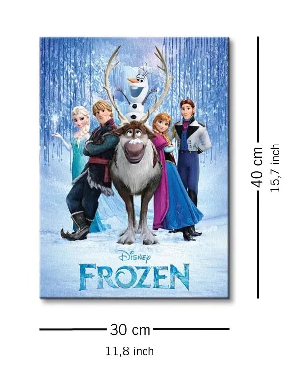 frozen-cast-obraz-na-plotnie-30x40-cm-stan-nowy