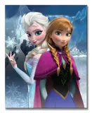 frozen-obraz-na-plotnie-40x50-cm-stan-nowy