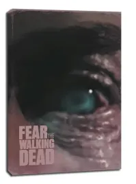 fear-the-walking-dead-obraz-na-plotnie-30x40-cm