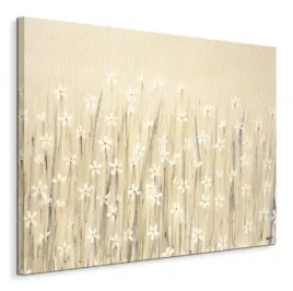 field-of-starry-white-flowers-obraz-na-plotnie-80x60-cm