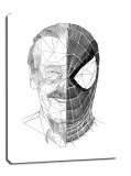 geometryczny-stan-lee-obraz-na-plotnie-50x70-cm
