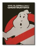ghostbusters-logo-obraz-na-plotnie-60x80-cm-stan-nowy