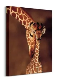 giraffe-obraz-na-plotnie-40x50-cm